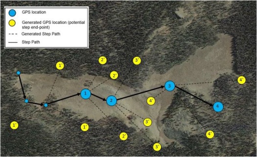 Example of elk movement path and GPS locations. Courtesy of Scott Wait, CO Parks and Wildlife. 8.30.2016